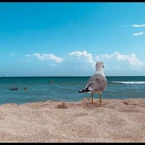 Meet your Posher, Javier